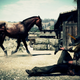 Illustration for article titled Kotaku Shop Contest: Horsing Around: The Winners